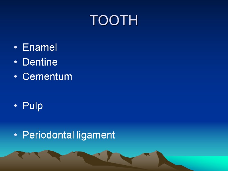 TOOTH Enamel Dentine Cementum  Pulp   Periodontal ligament